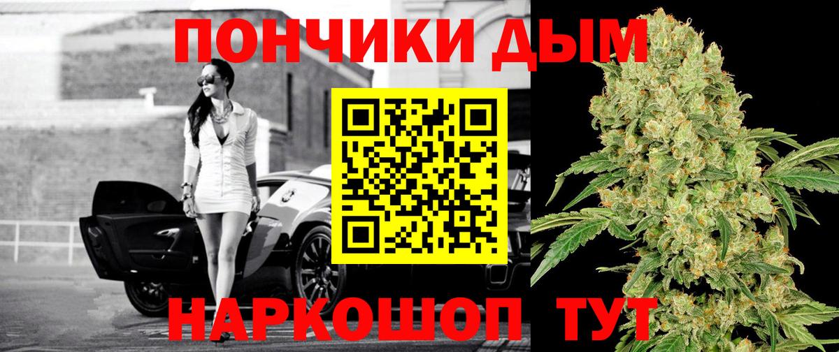 Каннабис сатива Урус-Мартан
